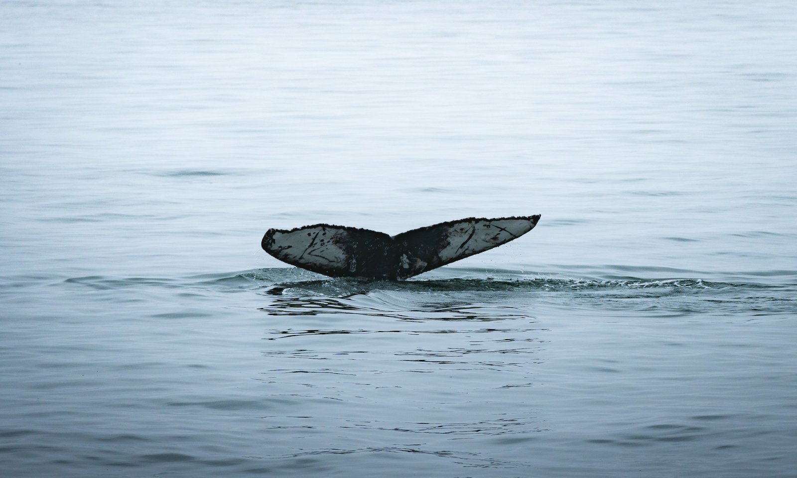 20231002_114842_1378_FeaturedImage